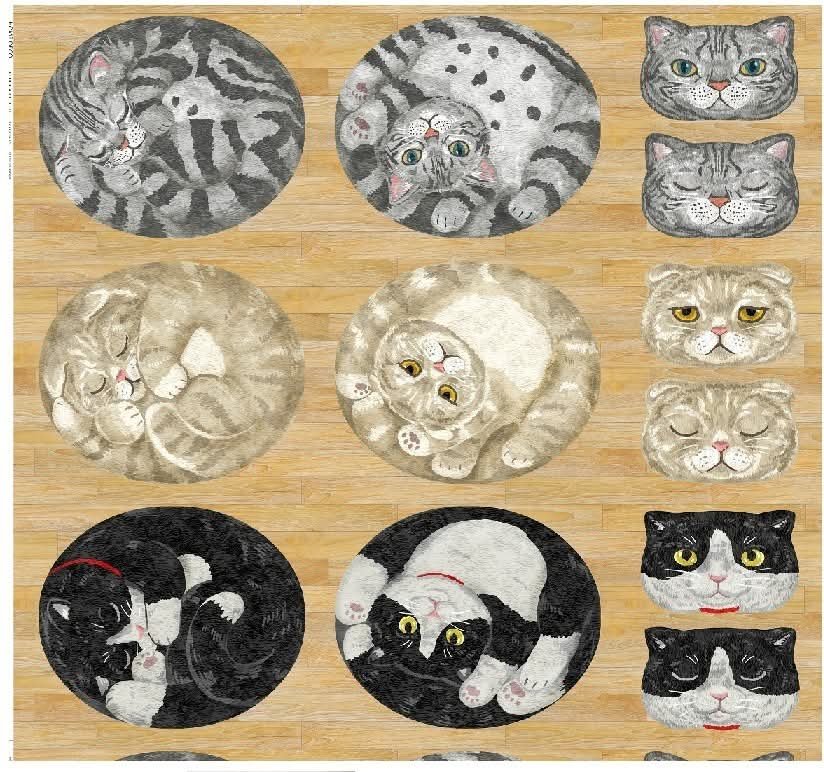 ⭐日本KOKKA猫猫橢圓頭像主題款12圖:圖片 4